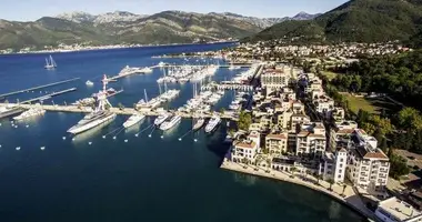 1 bedroom apartment in Tivat, Montenegro