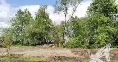 Участок земли в Хмелевский сельский Совет, Беларусь