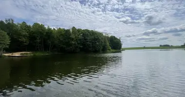 Dom w Haranski sielski Saviet, Białoruś