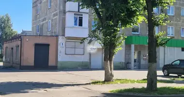 Gewerbefläche 78 m² in Swetly, Russland