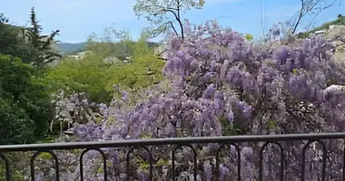 Wohnung 2 Schlafzimmer in Budva, Montenegro