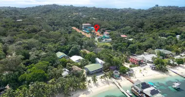 Condo 2 bedrooms in West End, Honduras