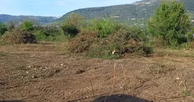 Terrain dans Radanovici, Monténégro
