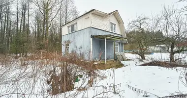 House in Pliski sielski Saviet, Belarus