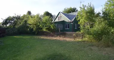 House in Sangruda, Lithuania