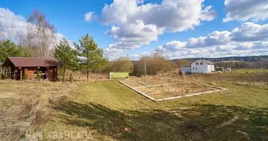 Plot of land in Rakauski sielski Saviet, Belarus