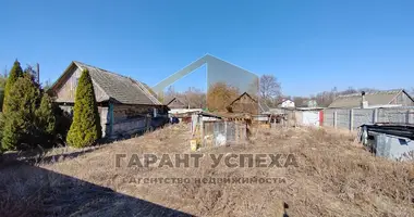 Terrain dans Zabinkauski sielski Saviet, Bélarus