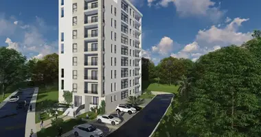 Apartamento 1 habitacion en 69, Montenegro