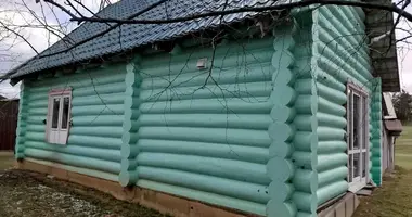 House in Drackauski sielski Saviet, Belarus