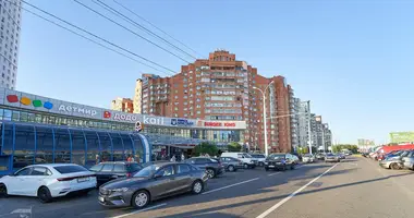 2 bedroom apartment in Minsk, Belarus