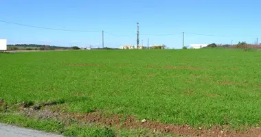Plot of land in Kassandra Municipality, Greece