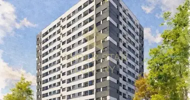 Studio apartment 1 bedroom in Mirandopolis, Brazil