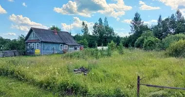 Haus 2 zimmer in Lubanskoe gorodskoe poselenie, Russland