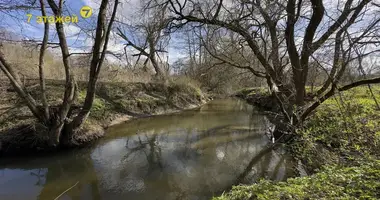 Участок земли в Демидовичский сельский Совет, Беларусь
