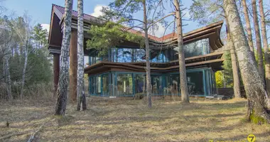 Cottage in Zdanovicki sielski Saviet, Belarus