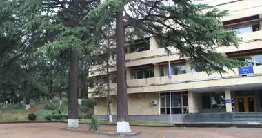 Büro 3 806 m² in Tiflis, Georgien