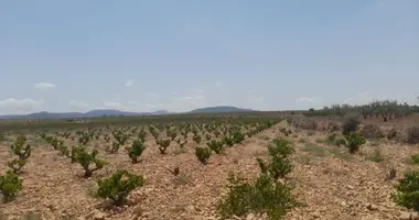 Appartement dans el Pinos Pinoso, Espagne