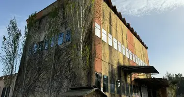 Warehouse 900 m² in Narte, Albania
