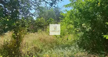 Terrain dans Kuti, Monténégro