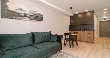 2 room apartment in Vilnius, Lithuania