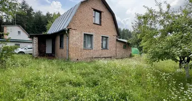 House in Nieharelski sielski Saviet, Belarus