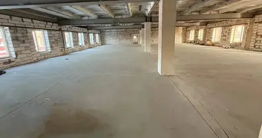 Warehouse 3 000 m² in Lobnya, Russia