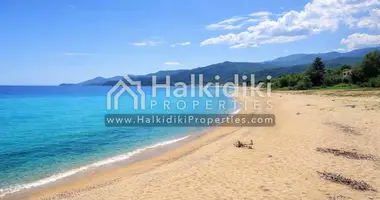Plot of land in Olympiada, Greece