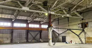 Warehouse 1 750 m² in Odintsovo, Russia