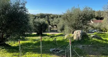 Terrain dans Saint-Matthieu, Grèce
