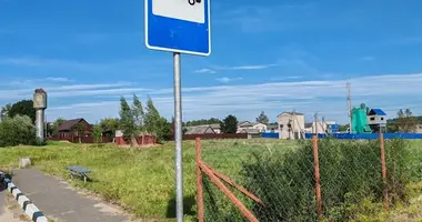 Plot of land in Bialarucki sielski Saviet, Belarus
