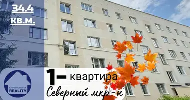 Apartamento 1 habitación en Baránavichi, Belarús