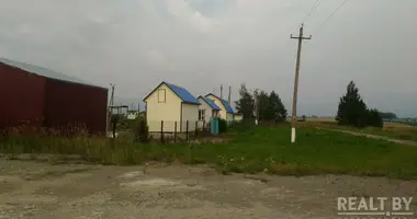 Commercial 4 rooms in Kochanava, Belarus