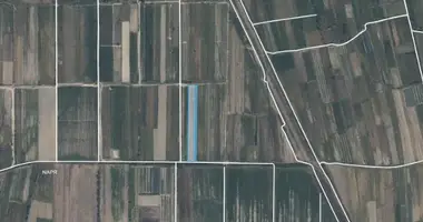 Plot of land in Shindisi, Georgia