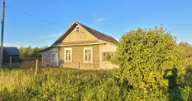 Haus in Horkauskaja Slabada, Belarus