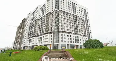 2 bedroom apartment in Minsk, Belarus