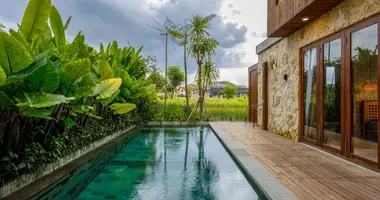 Villa 4 bedrooms in Mengwi, Indonesia