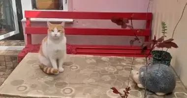 Appartement 3 chambres dans Odessa, Ukraine