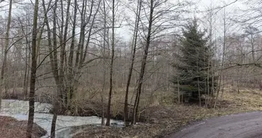 Plot of land in Nekielka, Poland