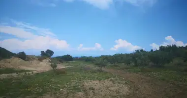 Terrain dans Polychrono, Grèce