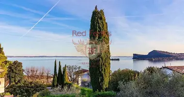 Villa 4 bedrooms in San Felice del Benaco, Italy