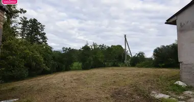Dom w Taraszyszki, Litwa