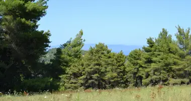 Plot of land in Kassandra Municipality, Greece