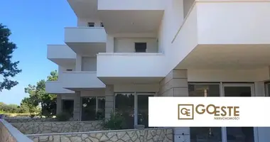 Apartamento 4 habitaciones en Opcina Dezanovac, Croacia