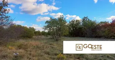 Działka w Opcina Dezanovac, Chorwacja