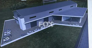 Entrepôt 4 400 m² dans Ypsonas Municipality, Chypre