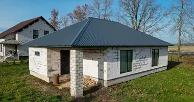 Cottage in Pukhavichy District, Belarus