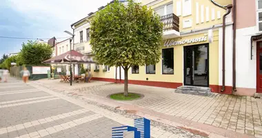 Коммерческое помещение 95 м² в Пинск, Беларусь