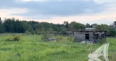 Działka w Vielikarycki sielski Saviet, Białoruś