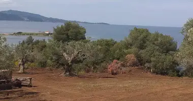 Producción en Paliouri, Grecia