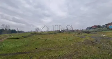 Apartment in Tankovo, Bulgaria